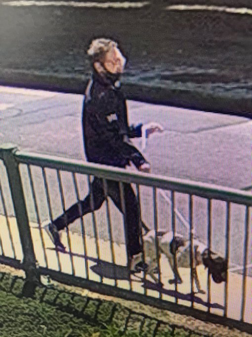 犬の誘拐事件の取材をしていた報道クルー 犬と散歩中の犯人とまさかの鉢合わせ 犯人直撃で見事救出 Finders あなたのシゴトに 新たな視点を