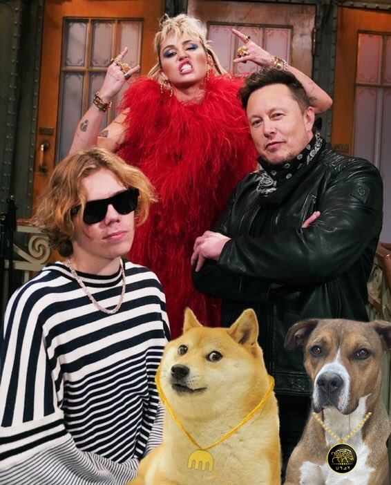 #kiradogsfans <a href="/kapucoin/">Kapu</a>