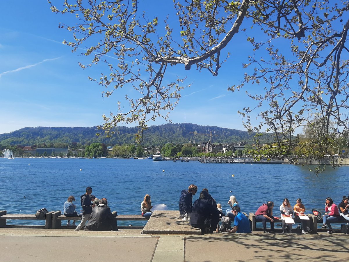 On a day like this you don't need more than a cold beer from Coop (the only place that doesn't cost you a kidney as payment) and a place to sit at the lake. Something which half of Zürich seems to do.