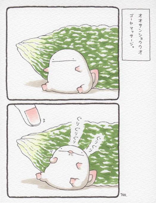 オオサンショウウオ、ゴーヤマッサージ。 #ゴーヤーの日 
