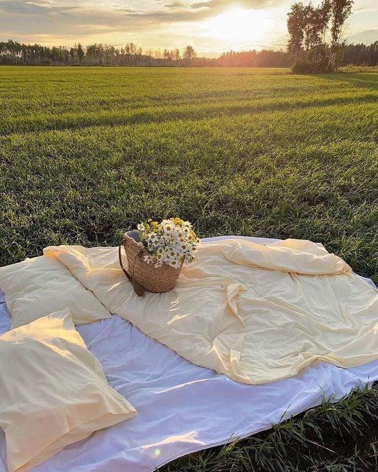Picnic date pls 🌸 https://t.co/ru4oObQrpm