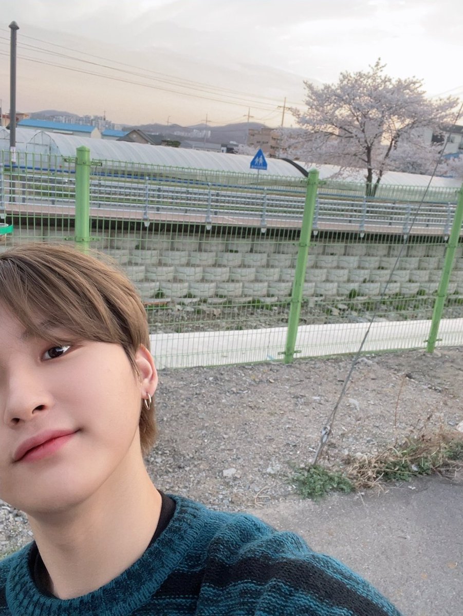 Cravity_Fancafe's tweet photo. 210508 #CRAVITY #크래비티 #서우빈 팬카페 포스트

비티파크 촬영 쉬는 시간에 예쁜 벚꽃이 피었길래 ✨ https://t.co/ZbX8sYItfd