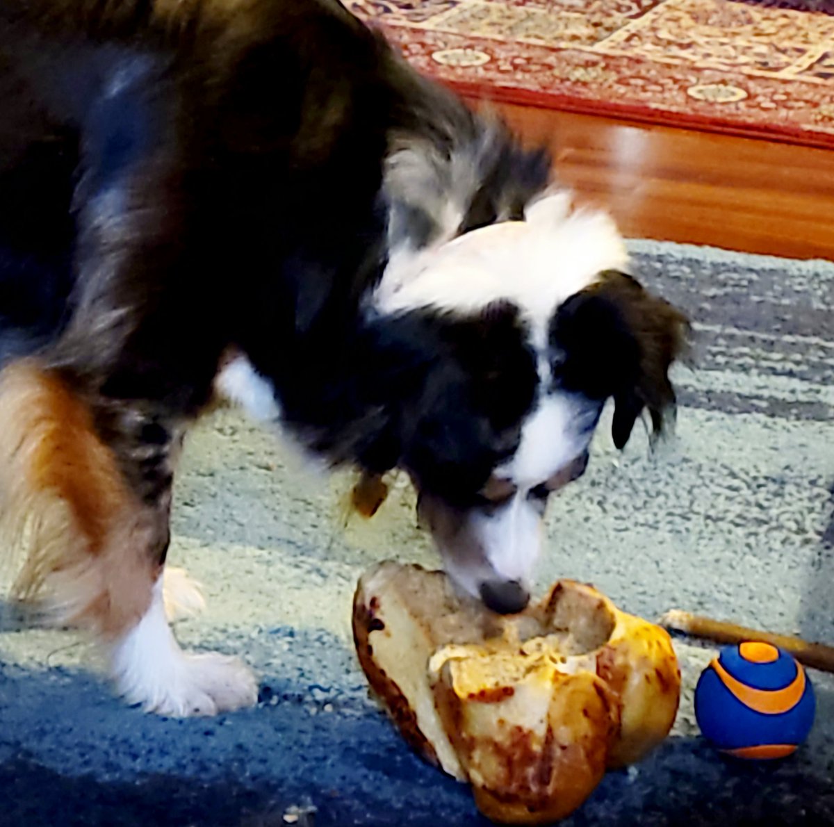 I like big bones and I cannot lie. 
#babygotbones