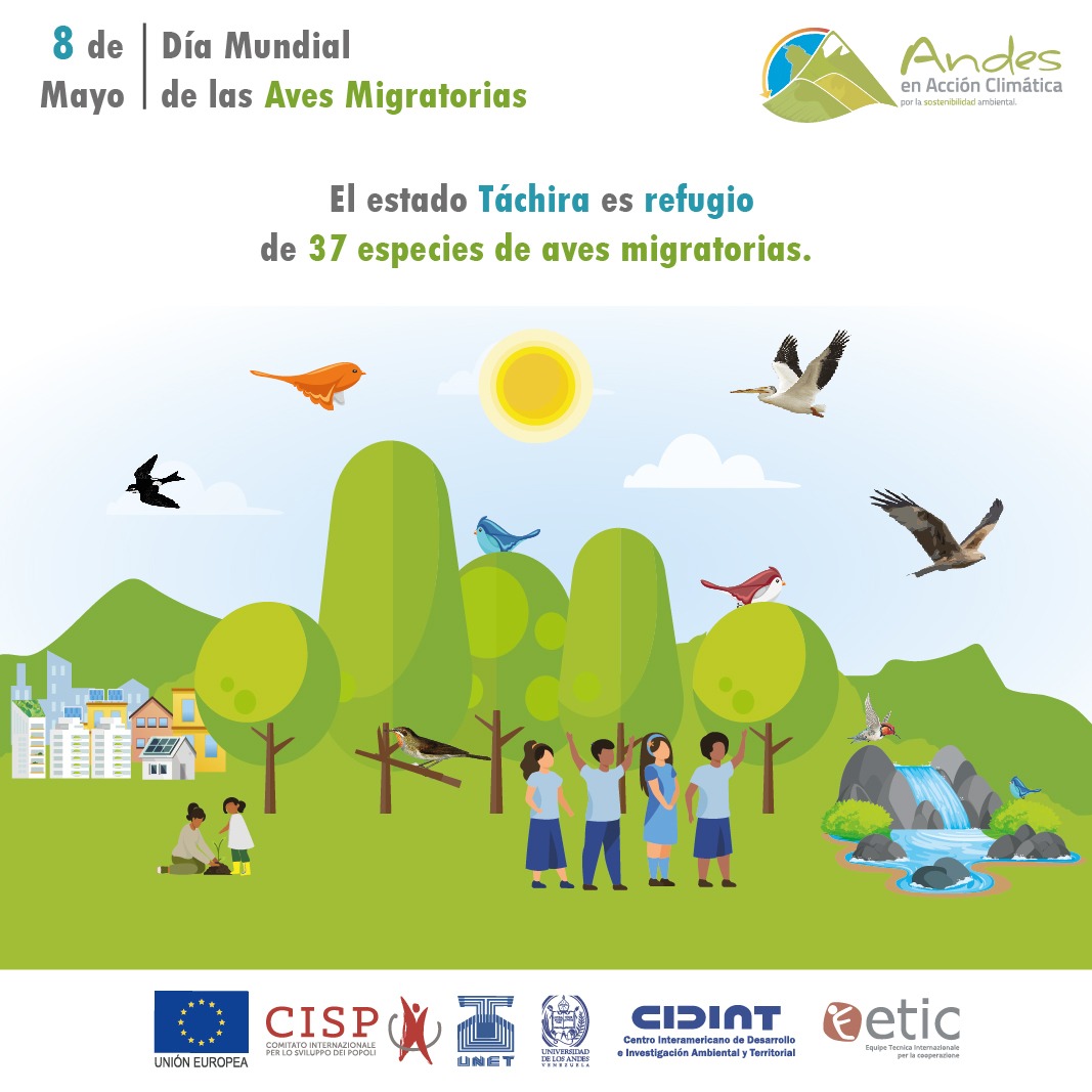 AClimatica's tweet image. Desde el proyecto Andes en Acción Climática te invitamos a celebrar el Día Mundial de las Aves Migratorias, evitando la caza de estas especies, la tala y el uso intensivo de la tierra.