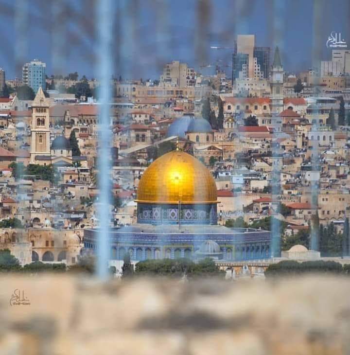 جميله انتي ك يوسف. ❤ والعالم خانك كأخوته.😔
ستتحررى بإذن الله.❤🙏