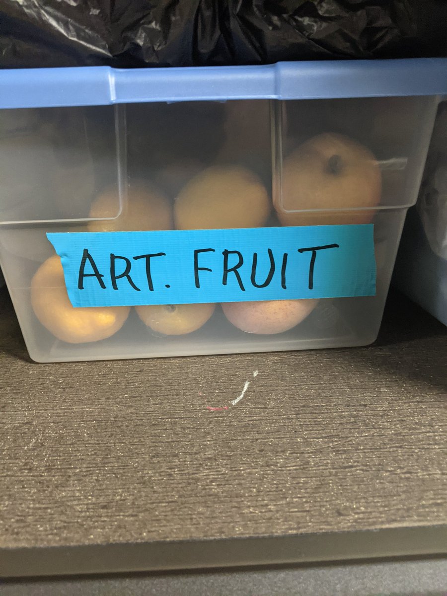 Artistic fruit. This is an entire tub of plastic fruit to be displayed in various decorative settings.