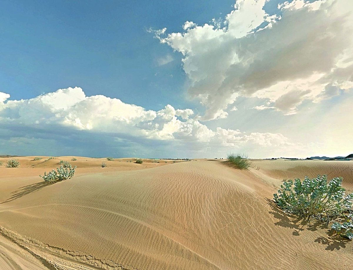 🏜️Nazwa Desert 
 Sharjah - UAE 🏜️