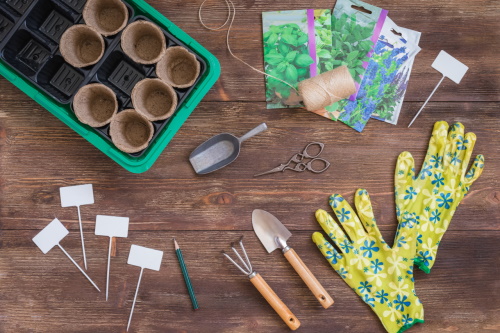 TerryLDuperon's tweet photo. Start your gardening adventure by sprouting your seeds for your spring garden? https://t.co/Y2JB1rXnPC #SustainableLiving #Springgardening #CleanHarvestNutrients #Seedstarting #gardening #cooltheplanet https://t.co/S8PNypndGC