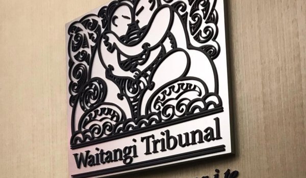 À partir des années 70-80, un tournant dans la jurisprudence du Traité de Waitangi mène à la création du Tribunal de Waitangi, chargé d'enquêter sur les plaintes des  #Māoris contre la Couronne britannique, et notamment l'appropriation des terres.