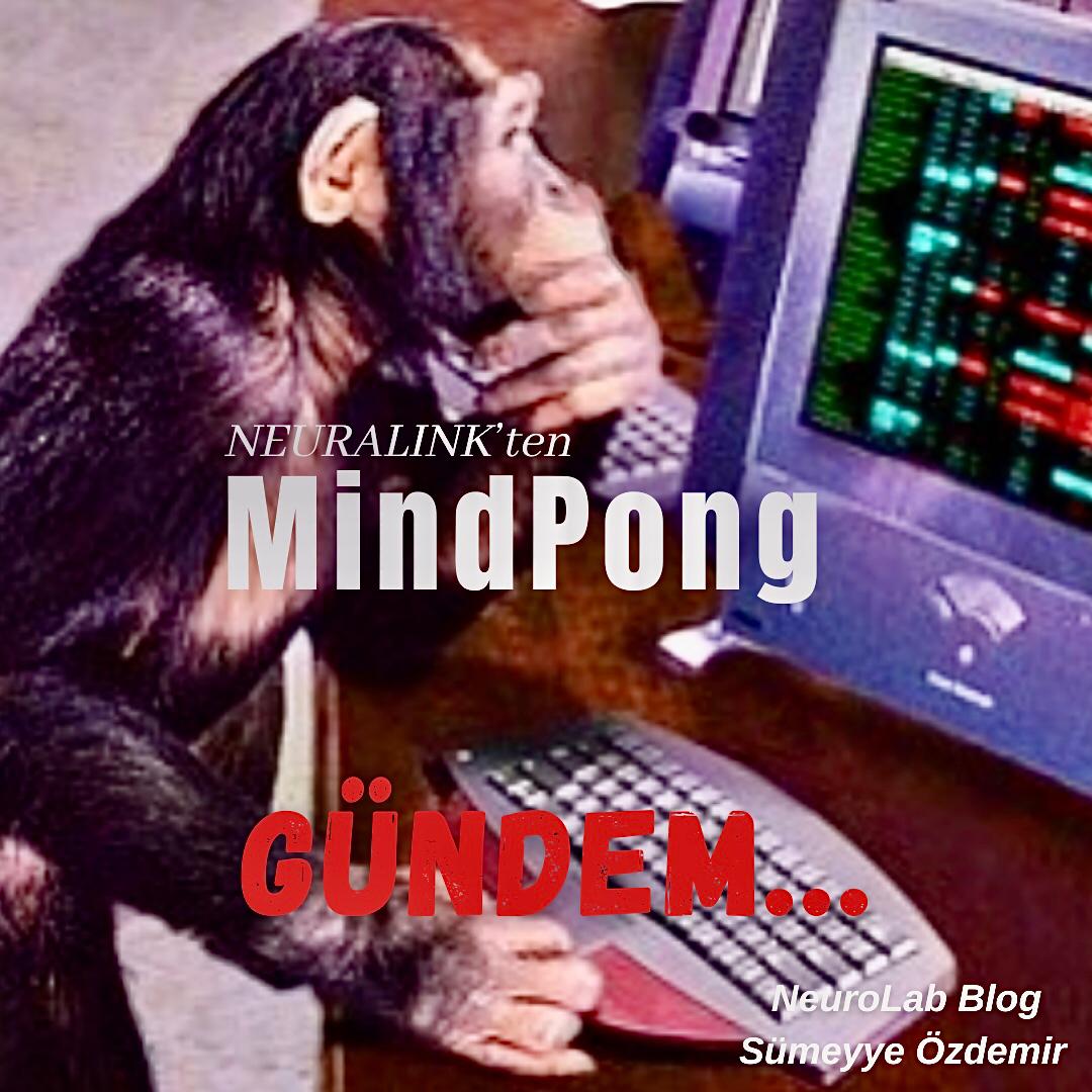 Herkese merhaba🥳
Sitemizde yayınlanan, Sümeyye Özdemir'in yazdığı "Mindpong- Neuralink Gündemi" başlıklı yazıyı okumak için linke tıklamanız yeterli!
mefbda.com/post/mindpong-…
Keyifli okumalar🤓