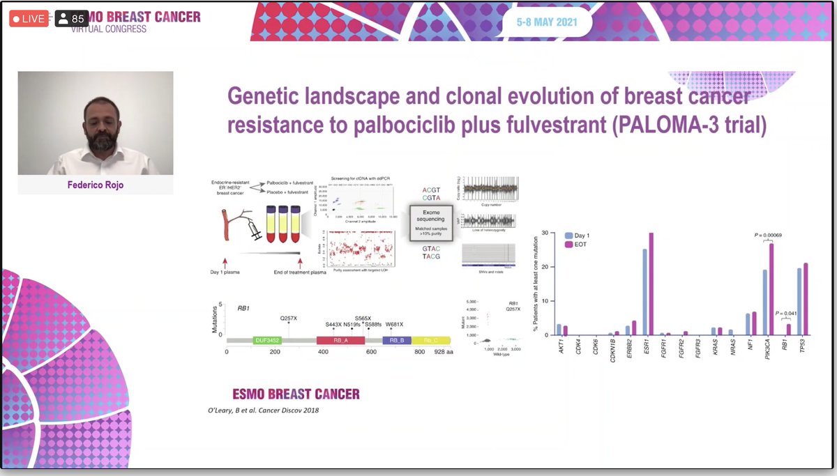 stolaney1's tweet photo. Talk on genomics of breast cancer reveals complex heterogeneity of the disease, and the dynamics of acquired mutations over time. #ESMOBreast2021 @OncoAlert  #bcsm https://t.co/sGGsl69bXL