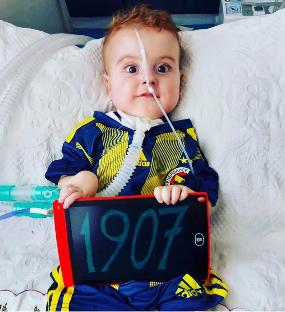 Bugün 1907 kişi yüz tl gönderirse yüzde onaltı oluyrz yardm edin
#fenerinmacivar

 #BoşYapmaYemiyoruz #shiba #KadirGecesi #ZekiAlasya #BeşiktaşınMaçıVar Cumhurbaşkanı Erdoğan'dan #NeİstiyorMuharremİnce #OrdularAksaya Mete Kalkavan #ArmandaSaklı Komutanı Muhammed Tahkim Kurulu