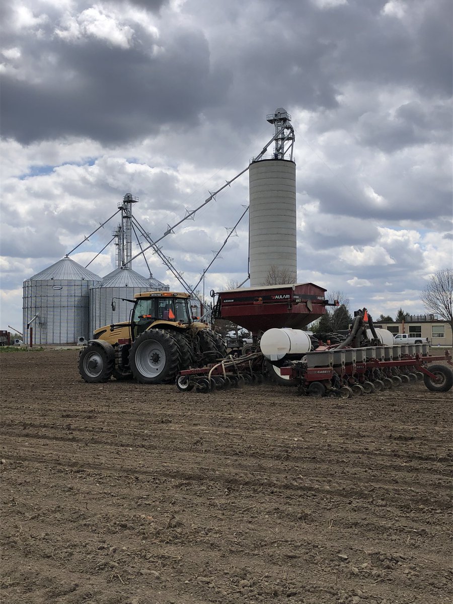 Put in a corn test plot at the elevator farm. Thanks to @PRIDESEEDS <a href="/PioneerSeedsCA/">Pioneer Seeds Canada</a> <a href="/DEKALB_Canada/">DEKALB Canada</a> <a href="/Maizex/">Maizex Seeds</a> for the seed. We will find out this fall who will have bragging rights.