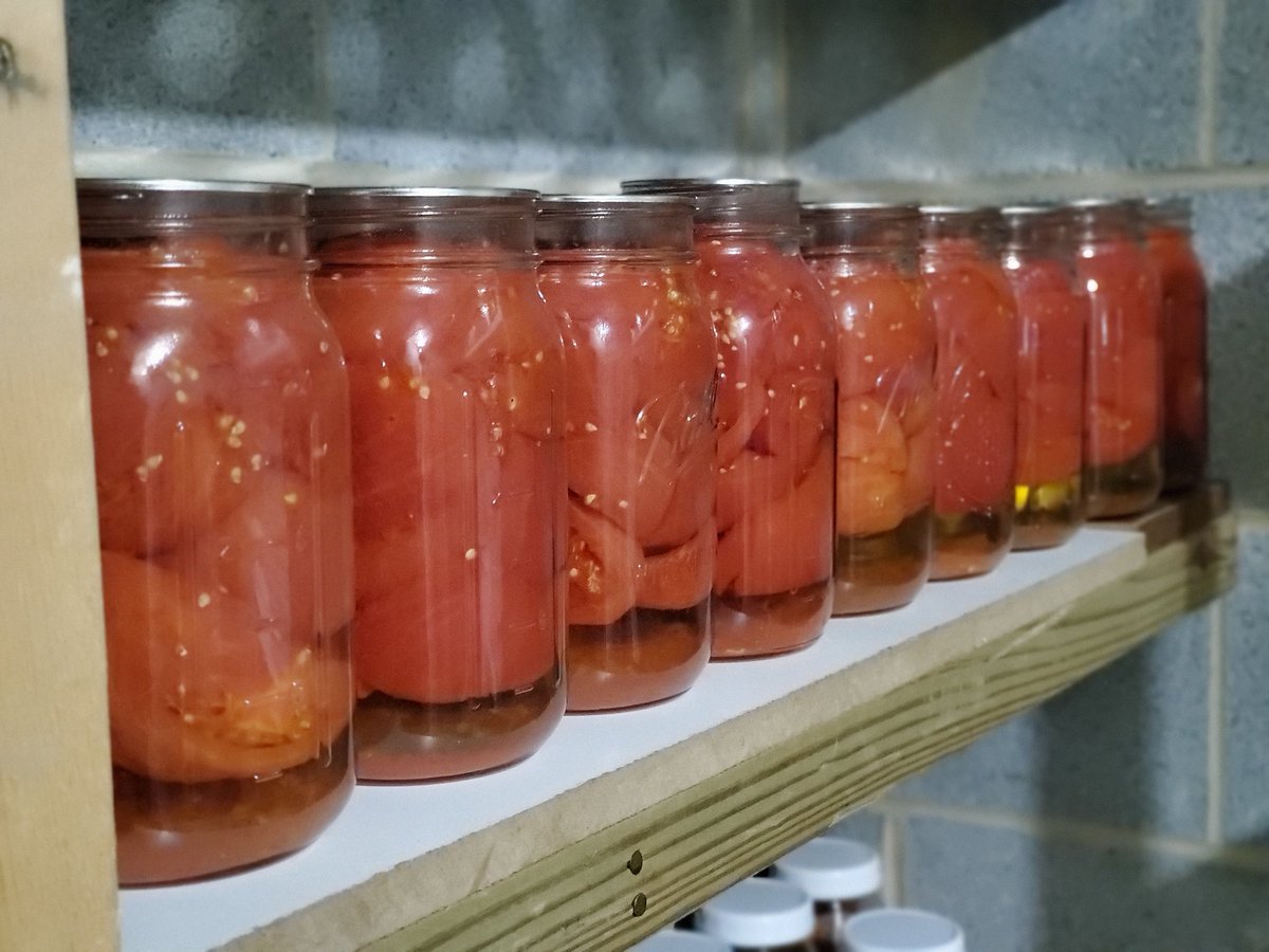 HideawyHomested's tweet photo. Cleaned up and organized the root cellar this morning. Time to keep this chore train moving. #homestead #homesteading #canning #garden #subsistenceliving #selfsufficient #feelingaccomplished https://t.co/7g5tbrzt3q