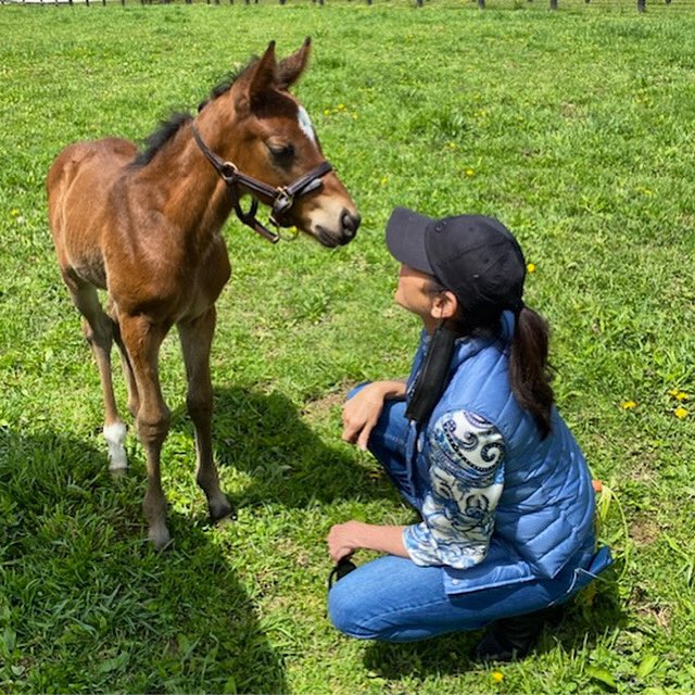 Happy mother’s day weekend! Sheila sniffs noses with Holiday Disguise’s Uncle Mo filly. #holidaydisguise #ladysheilastable #unclemo #nybred #mothersday #thoroughbred #motheranddaughter