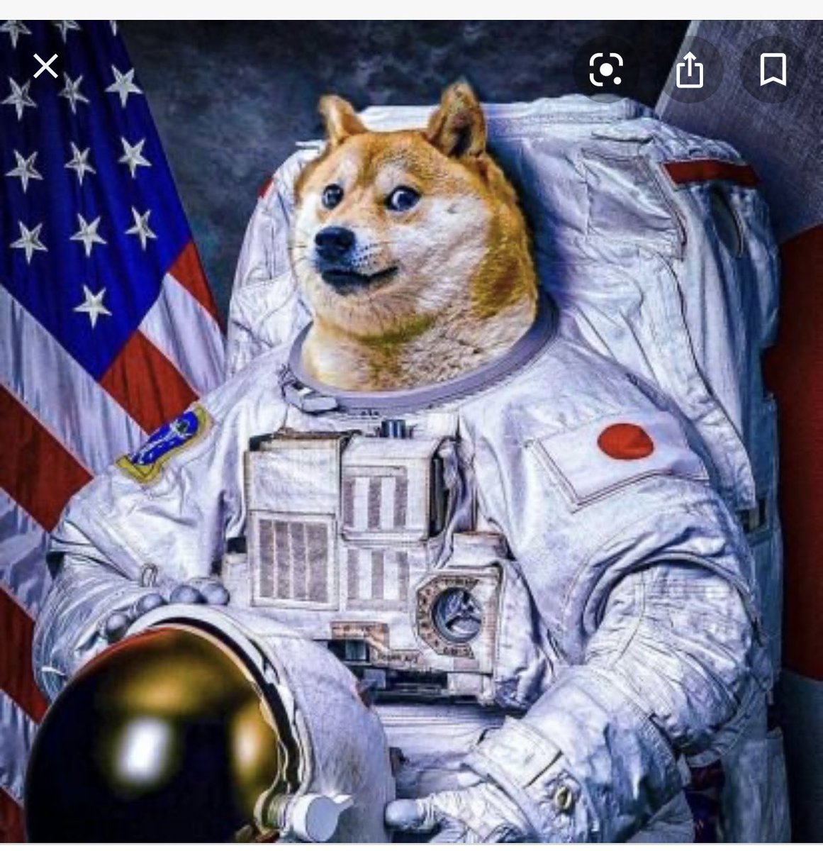 Michelle Lewin tweet media