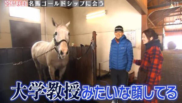 ゴールドシップの接し方は？少し気位の高い人間と思ってないとダメwww