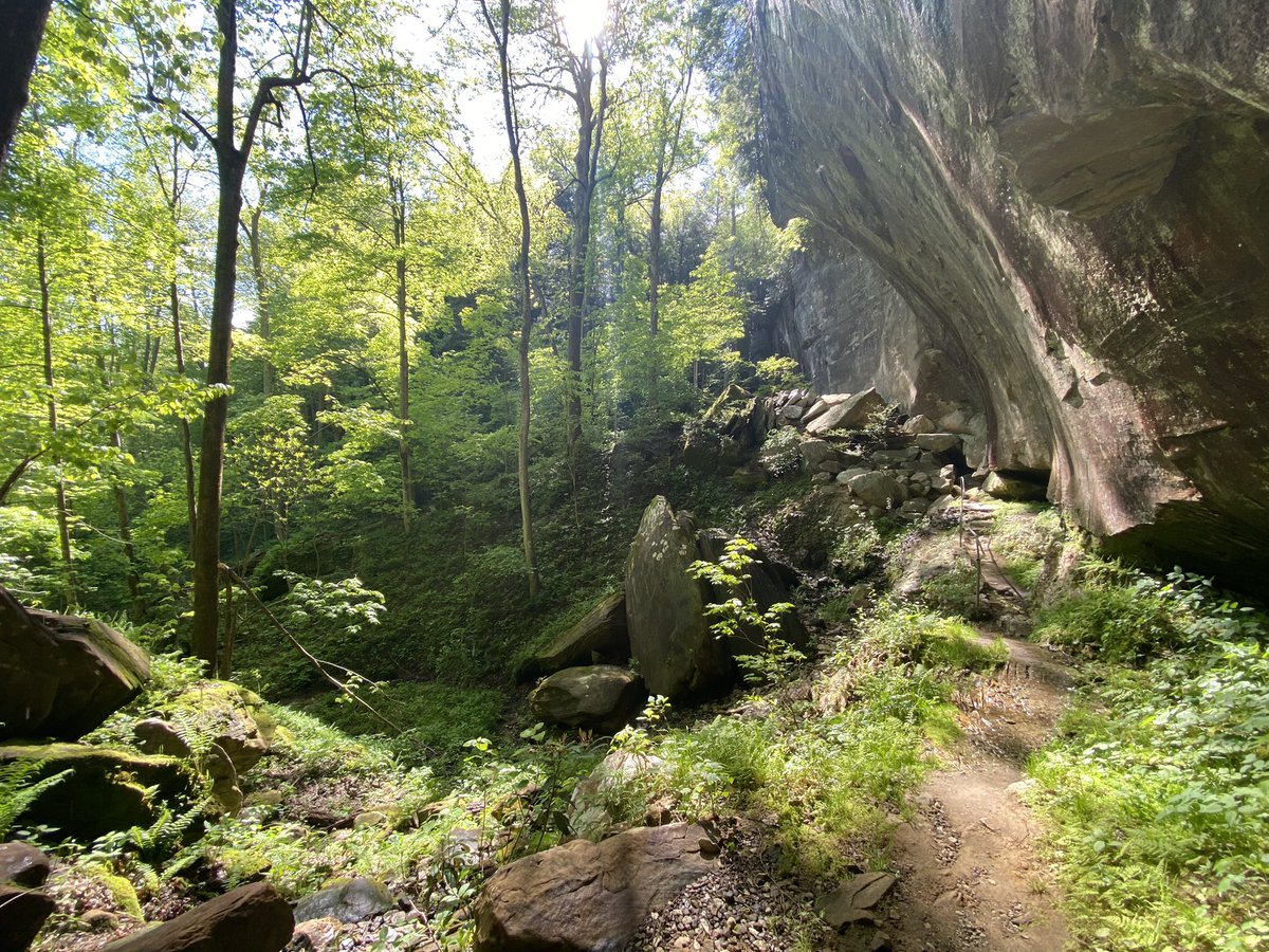 Erin Ceily tweet media