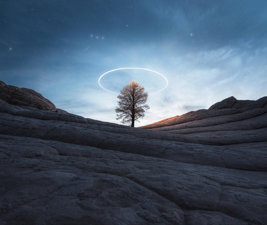 💙💛🐝cire amai 🇲🇦⚖️🌬🌊 tweet media