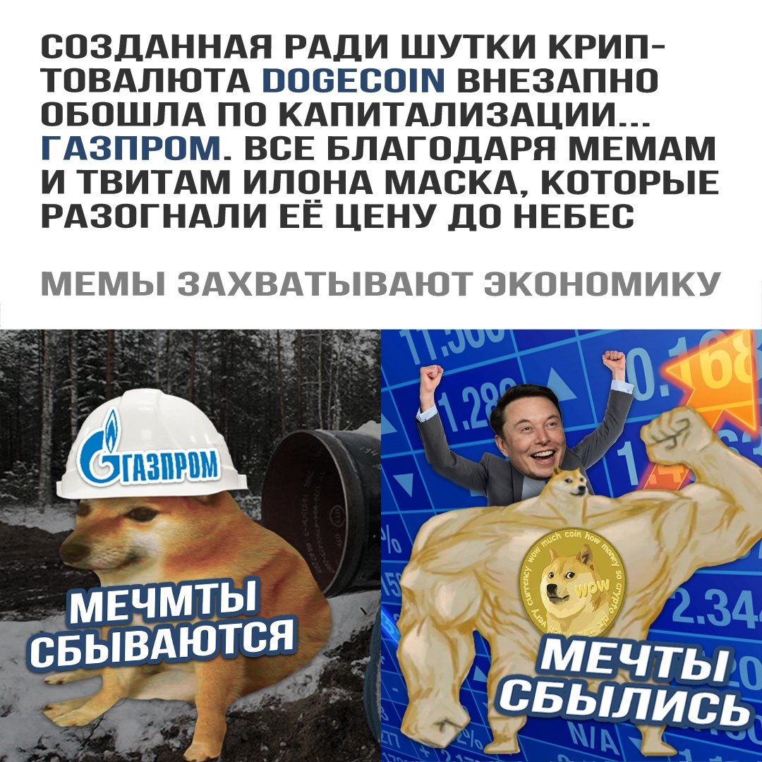 Дима tweet media