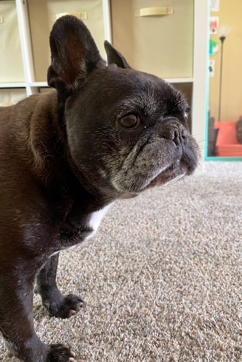 _Pierre21's tweet image. Gummy gums. 😋