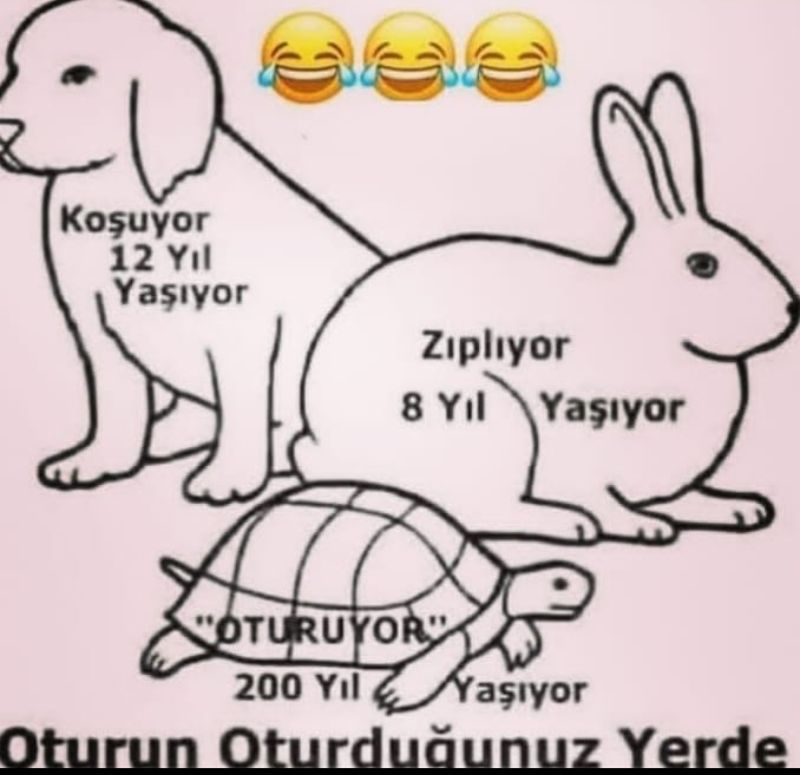 Evde kalmaya Bi neden daha #hayatevesıgar