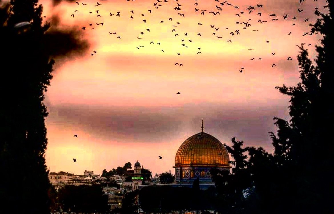 EKERYEMEK's tweet photo. Bin aydan daha hayırlı olan #KadirGecesi ‘nin Türk İslam âlemi ve tüm insanlık için sağlık, huzur  ve mutluluk getirmesini diliyorum. 
Bu mübarek gecenin zulüm ve işgal altındaki Müslüman kardeşlerimizin kurtuluşuna vesile olmasını Cenab-ı Allah’tan niyaz ediyorum. 
#MescidiAksa https://t.co/D6XvoIRawP