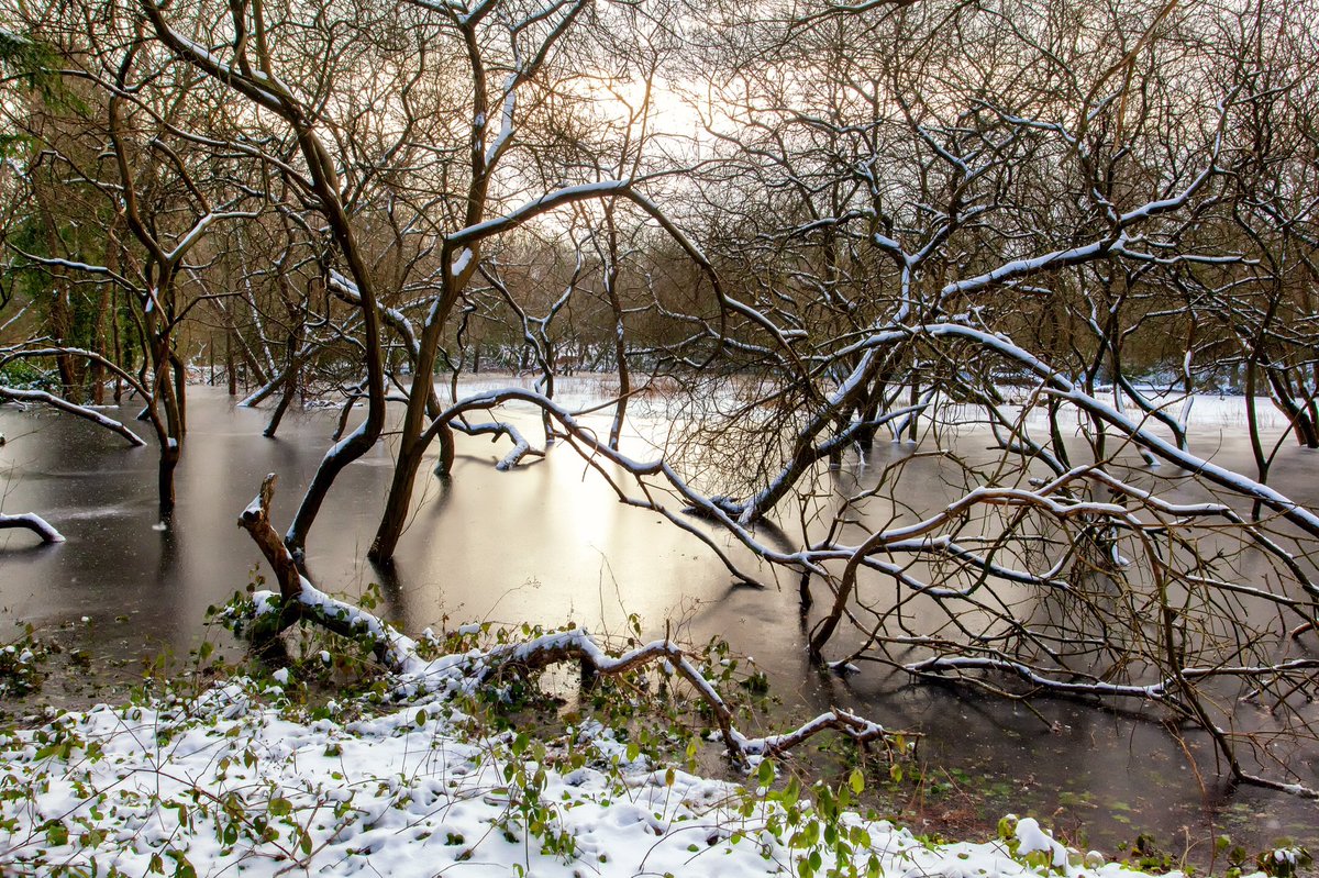 rumpuledude's tweet photo. Frozen pond on #chislehurstcommon #chislehurst #SNOW #WINTER #pond #trees #chislehurstgazette #ice #br7 #woodland #NaturePhotography #landscapephotography #landscape #Frozen https://t.co/qFr5GPCi3s