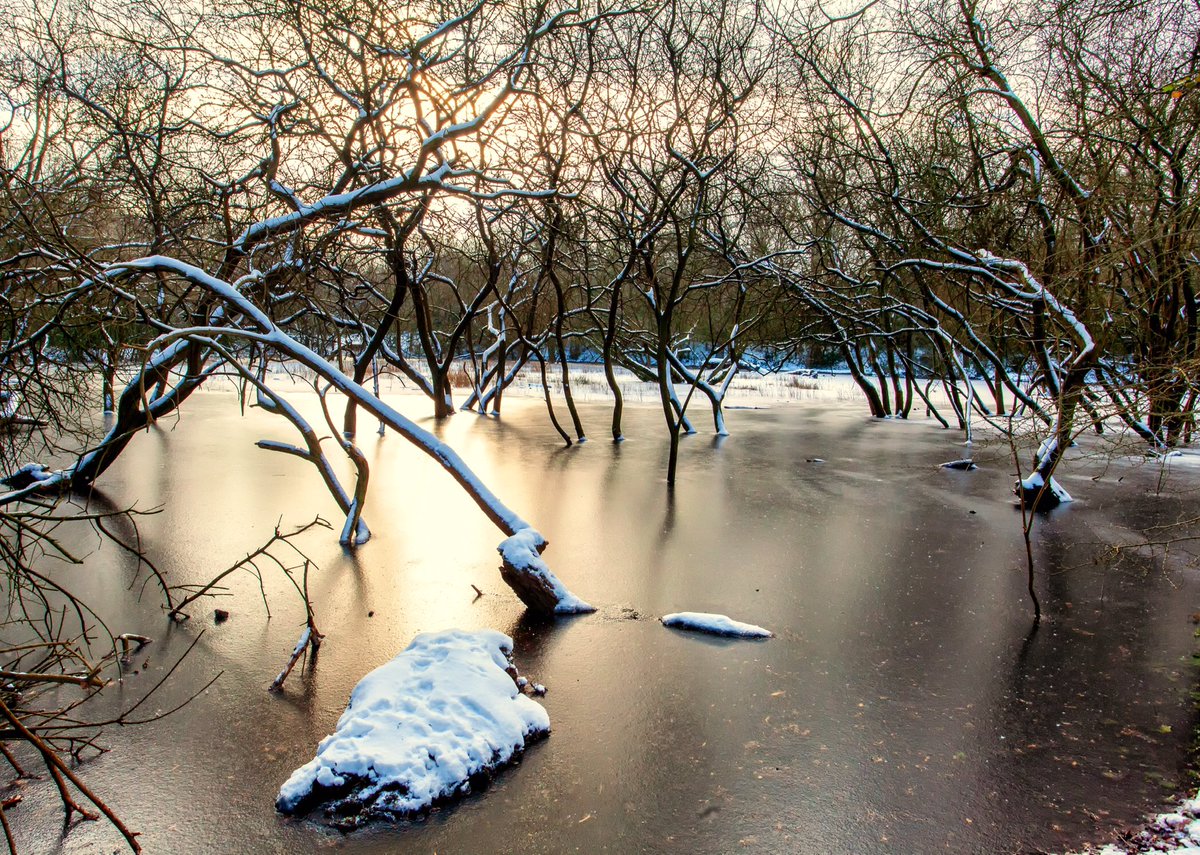 rumpuledude's tweet photo. Frozen pond on #chislehurstcommon #chislehurst #SNOW #WINTER #pond #trees #chislehurstgazette #ice #br7 #woodland #NaturePhotography #landscapephotography #landscape #Frozen https://t.co/qFr5GPCi3s