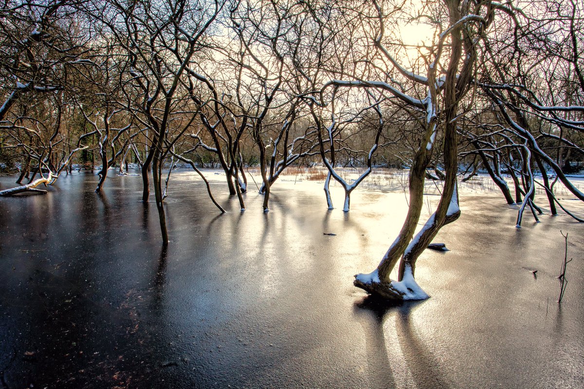 rumpuledude's tweet photo. Frozen pond on #chislehurstcommon #chislehurst #SNOW #WINTER #pond #trees #chislehurstgazette #ice #br7 #woodland #NaturePhotography #landscapephotography #landscape #Frozen https://t.co/qFr5GPCi3s