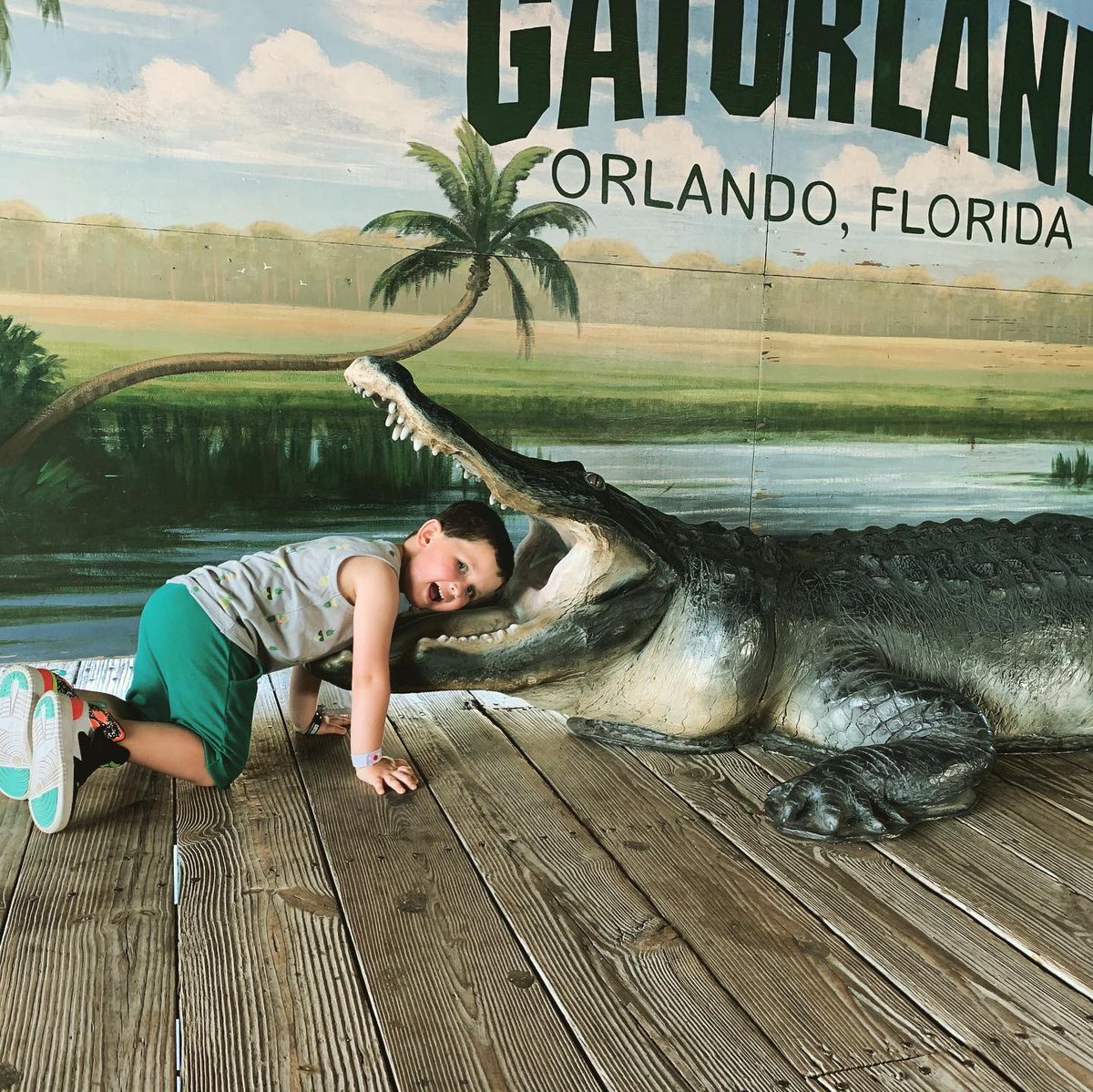ZPetchell's tweet photo. Gatorland Adventures 🐊 https://t.co/ytHFW8zYJc