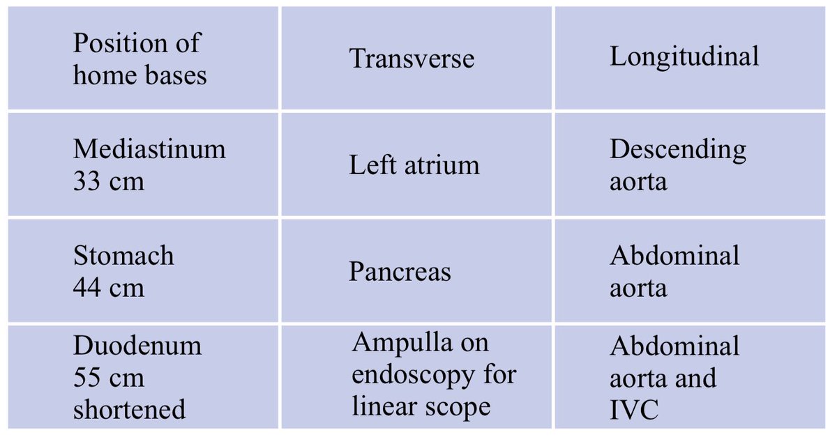 GIscope_updates's tweet photo. The cm landmarks during EUS examination:

22 cm arch of aorta

33 cm left atrium 

44 cm coeliac trunk in stomach at upper border of pancreas

55 cm in stomach at the lower border of pancreas

55 cm duodenum (short scope position)

66 cm in deep intubation of duodenum https://t.co/FmGVGt9Vbw