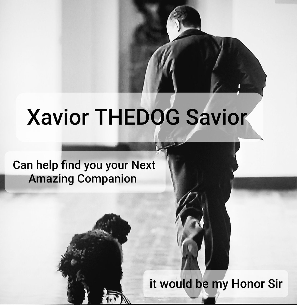 SaviorThedog's tweet photo. So sorry for the the loss of your #4legged #familymemeber Bo #youLiveForever In memory!! #presidentobama #obamas #Boobama #1stfamily 
If your reading this mr president I would love to Gift you a custom painting, size of your choice of Bo aswell as assist with a finding a new pup https://t.co/UFnKXY3s9Y