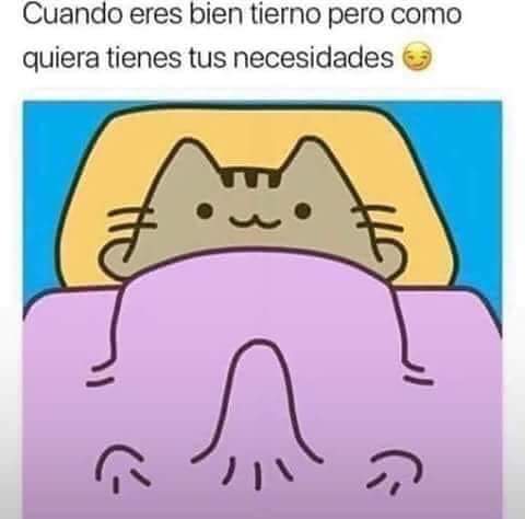 Tengo un Twitter "vainilla" pero no lo ocupo porque no sigo a nadie😅 alguien tiene alguna recomendaci&oacute;n<a href="/tag/maythe4thbewithyou"class="tags"><span>#maythe4thbewithyou</span></a>