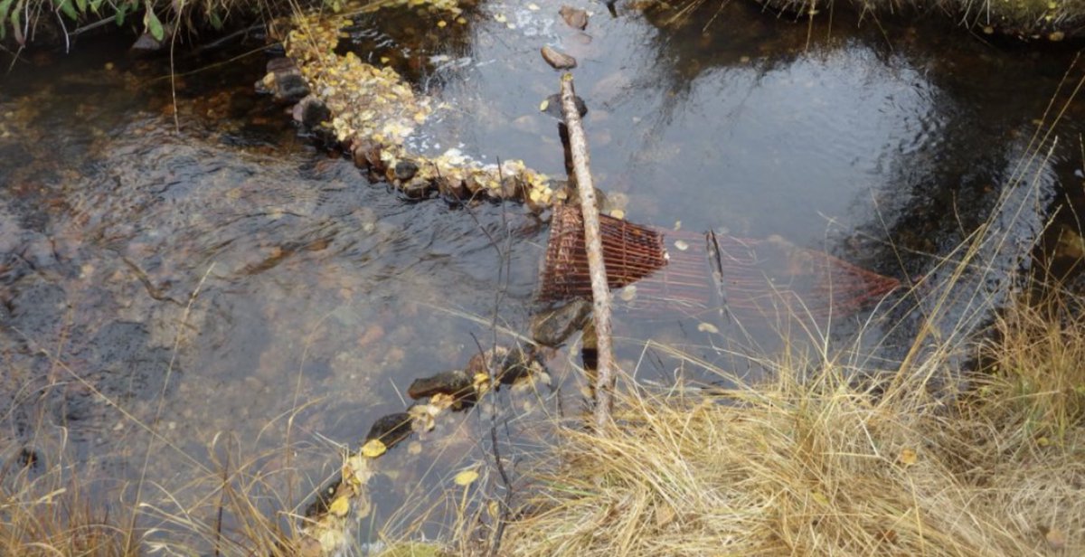 OPrepared's tweet image. Tis the season! #OzarksPrepared #Prepper #Shtf #Prepper #Bushcraft #Survival #FoodStorage #BugOutBag #GetHomeBag #Nature #Adventure #DIY #prepperfoodstorage #foodstorage #fish