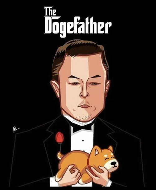 Dogecoin Fans tweet media