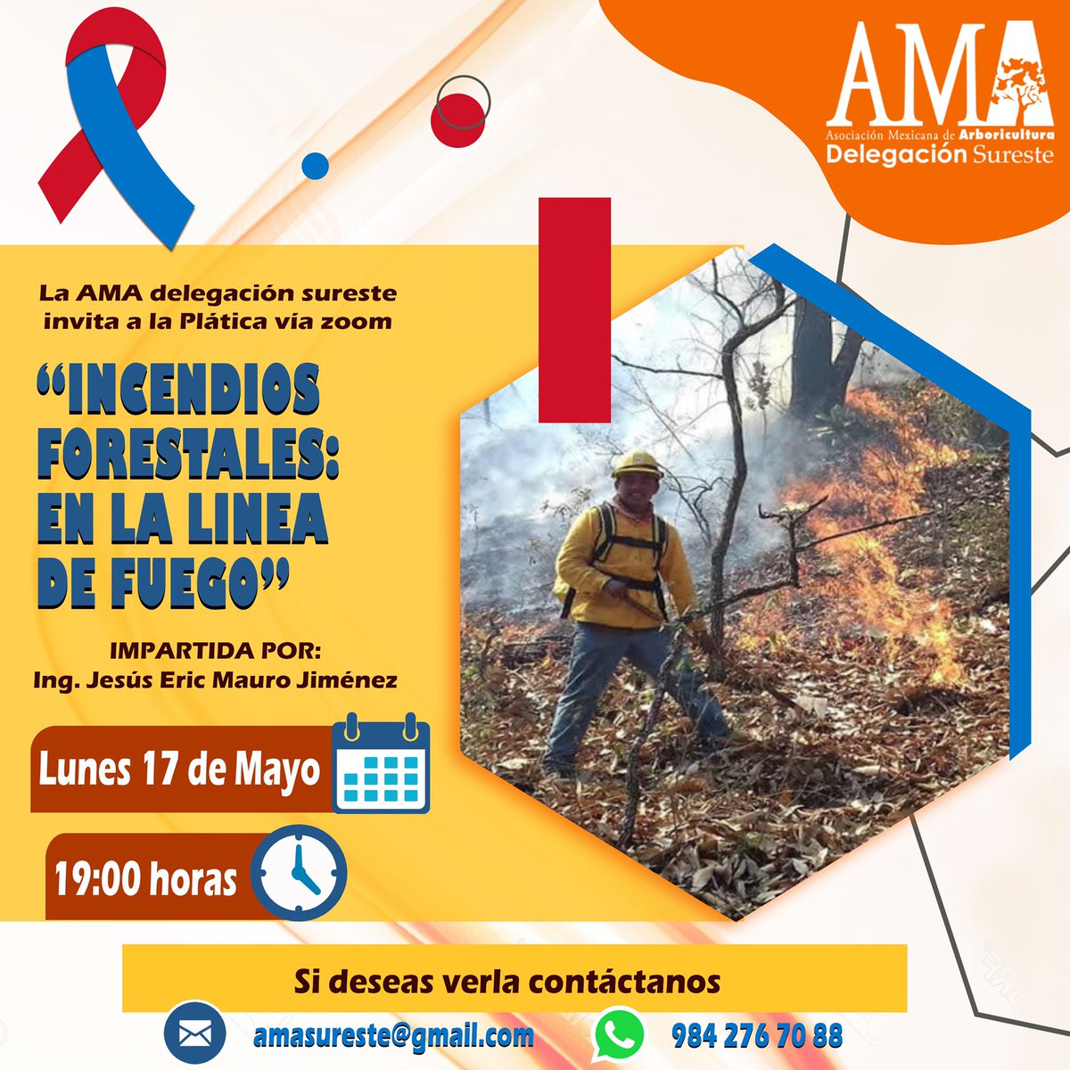 AmaSureste tweet media