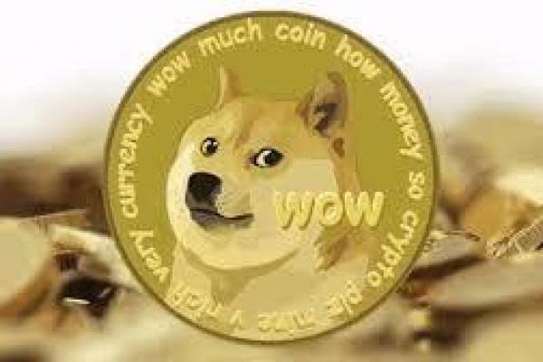 Dogecoin Fans tweet media