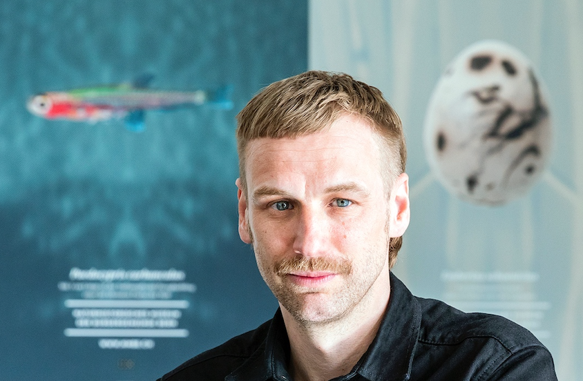 «Nur noch eine Redaktion in Bern bedeutet: Nur noch eine Person, die über uns berichtet. Nur ein Blickwinkel und eine Meinung - ein grosser Verlust für uns, aber auch für die Kulturstadt Bern.» Simon Jäggi, Mitarbeiter Naturhistorisches Museum und Sänger.

keinehalbensachen.ch/stimmen/