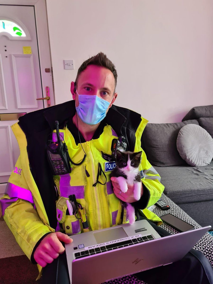 Who needs a police dog when you have the help of this little kitty! 
#StAlbansPolice
#SaferNeighbourhoodTeam
(676)