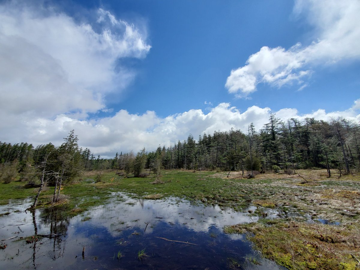 APBio120's tweet image. Cold day in the bog doing some location scouting