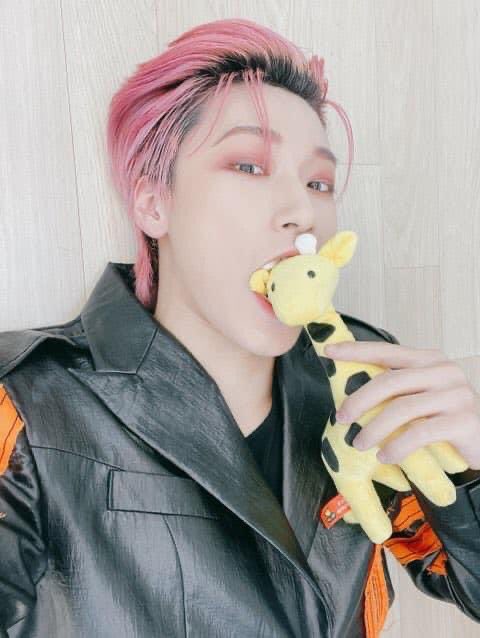 san's other plushies -nana ( banana)piki ( san said name is inspired by pinocchio cuz elephant also have long trunk same as pinocchio )seonghwa ( he named it seonghwa because he cherish him and he have long neck )