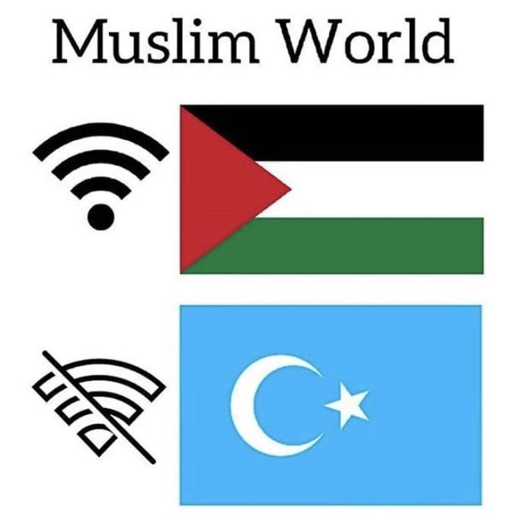 Türk Teknolojisi (@turkteknolojisi) on Twitter photo 