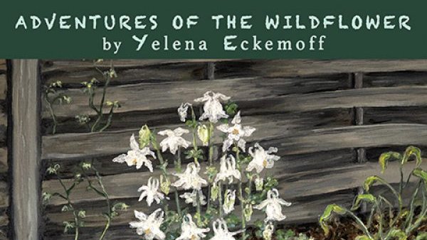 AVicari_Jazz's tweet image. #AllThisWeek|@officialjazzlon @AVicari_Jazz|Doodles|show music by @YEckemoff @vijayiyer @lmoh000 @BobMintzer @SarahMoule1 @Srdjanovic @AliBelloMusic @Jacksonmathod @davedouglas @joelovano @lmoh000 @greenleafmusic @UbuntuMusicJazz @ProperJazz @ECMRecords