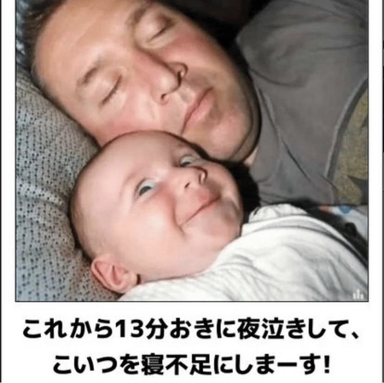 Twitter এ 厳選画像でボケて笑 ボケて 大喜利 写真で一言 おもしろ画像 面白い お笑い 赤ちゃん T Co X5rphvvtjg ট ইট র