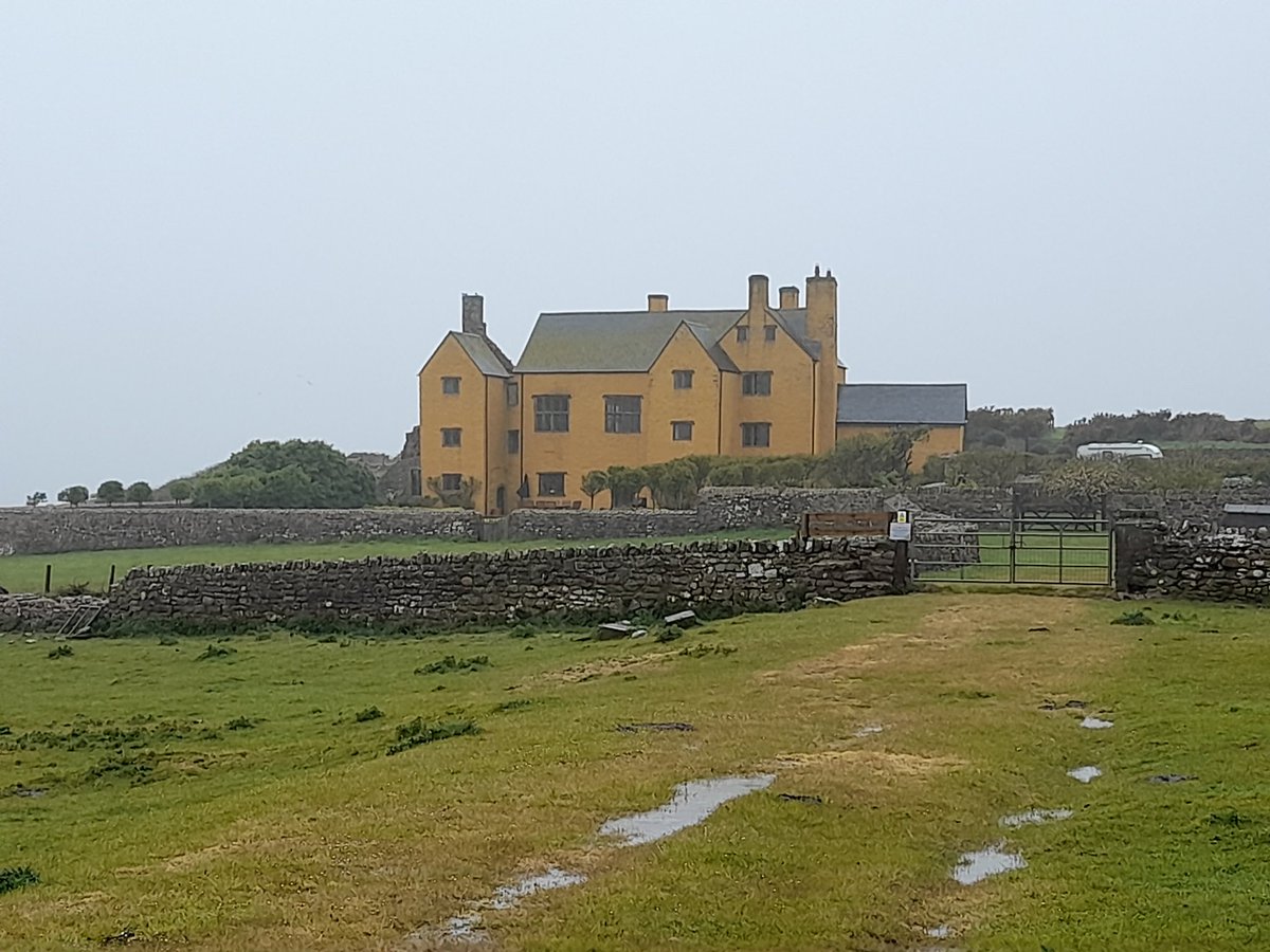 RachelJMorton's tweet photo. Chuffed to get to the dry stone walling today! Brilliant, even in the rain 🌧 Happy to meet Thandie Newt-on and relocate safely @dunes2dunes #SkerHouse https://t.co/aDgXJ2p1Ut