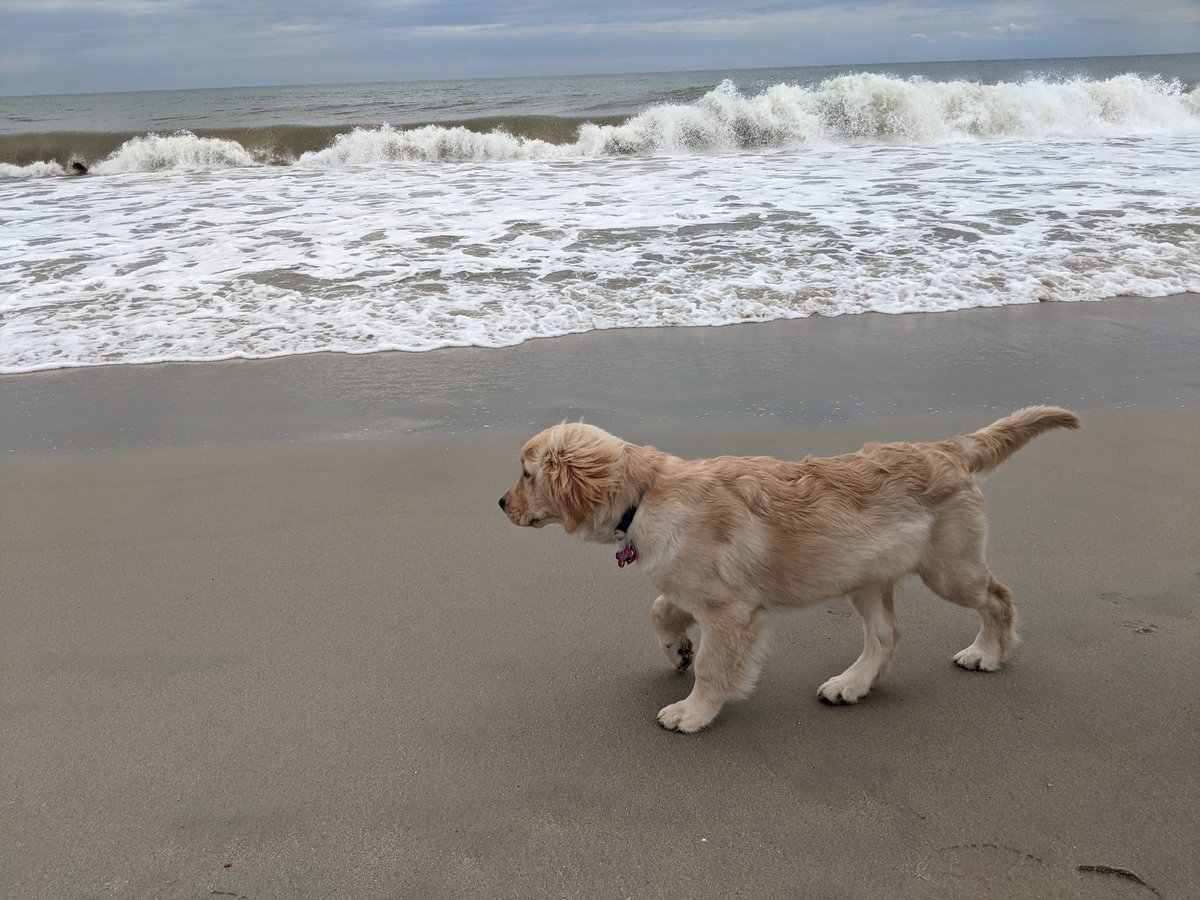 Millie's still not sure about the ocean.