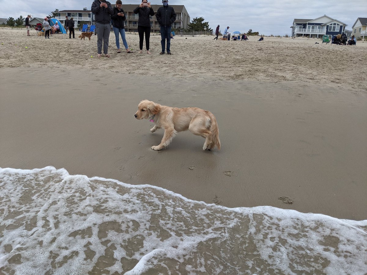 Millie's still not sure about the ocean.