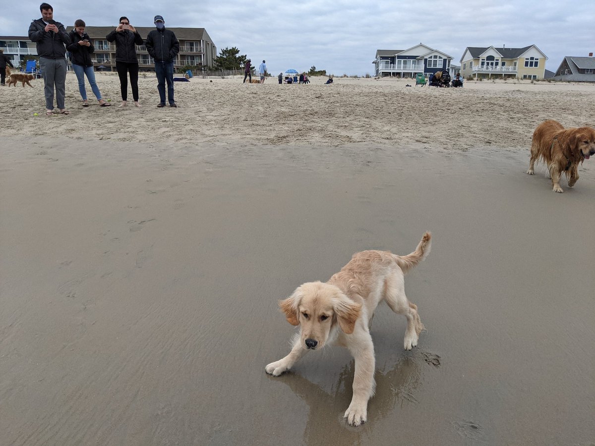 Millie's still not sure about the ocean.