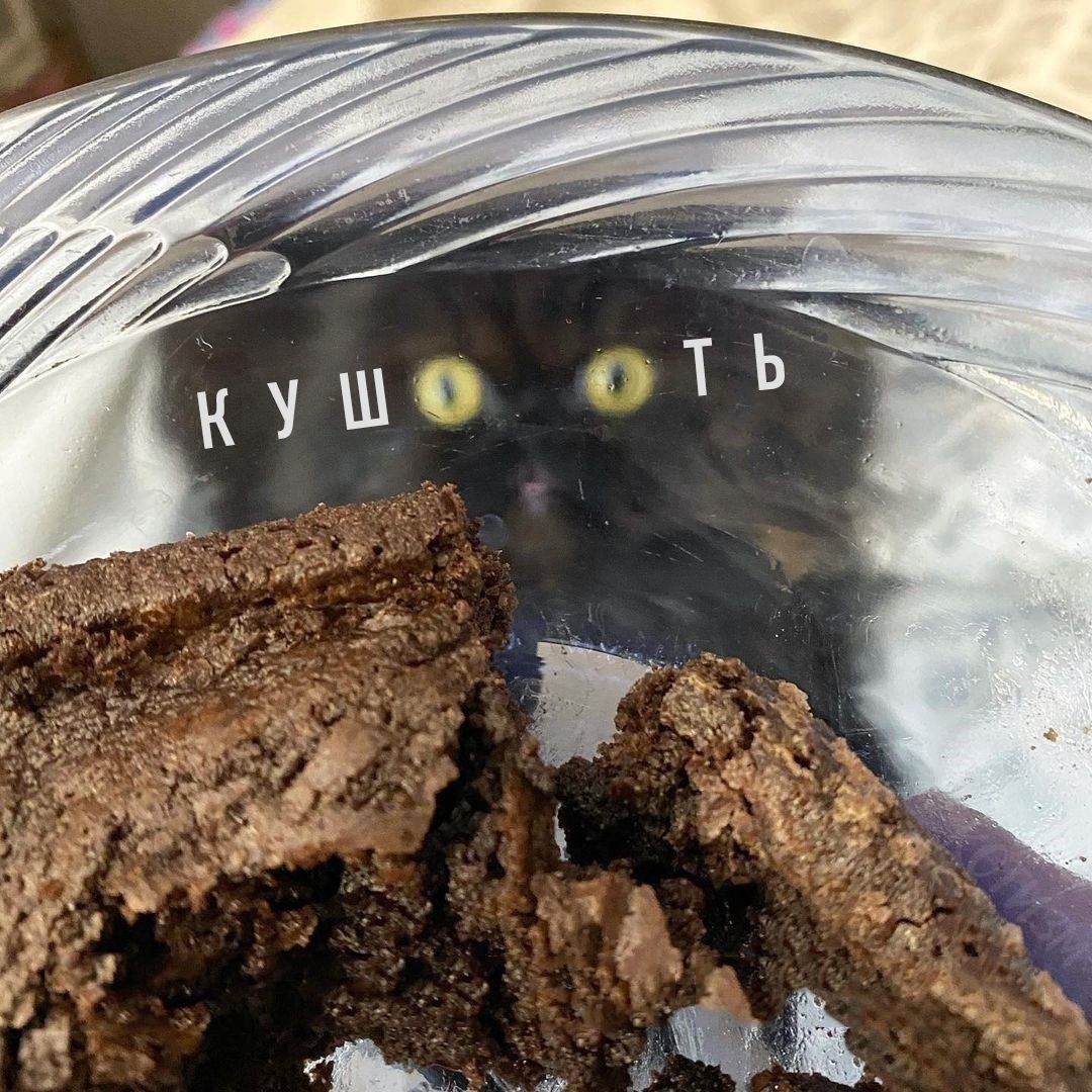 когда собрался поесть и дома кот